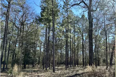 Lot 2&3 Remington Road, Huntsville, TX 77340 - Photo 5