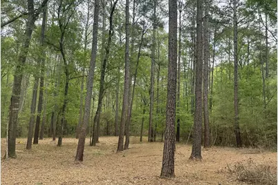 Lot 2&3 Remington Road, Huntsville, TX 77340 - Photo 1