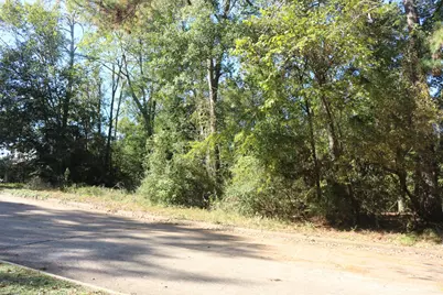 Tbd Lake Oaks Circle, Coldspring, TX 77331 - Photo 5