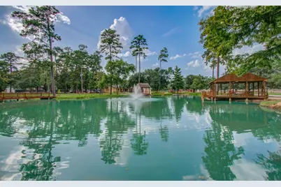 22927 Northoak Forest Lane, Spring, TX 77389 - Photo 29