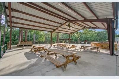 22927 Northoak Forest Lane, Spring, TX 77389 - Photo 37