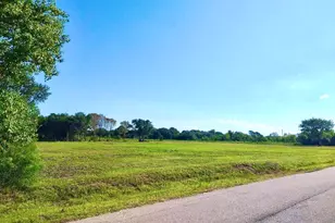 Tbd Alston, Hitchcock, TX 77563 - Photo 1