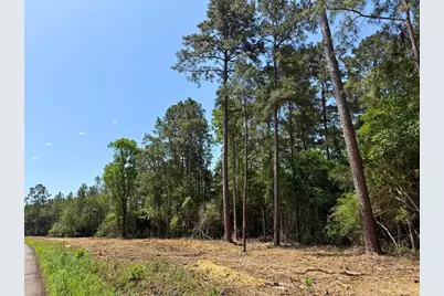 5 Camp Ruby Road, Livingston, TX 77351 - Photo 7