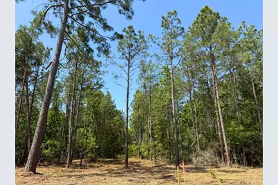 5 Camp Ruby Road, Livingston, TX 77351 - Photo 11