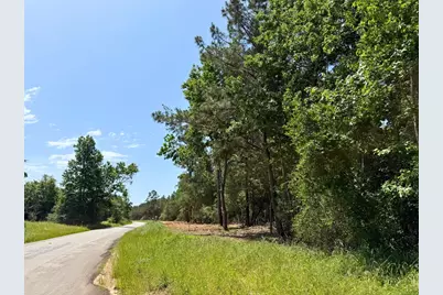 5 Camp Ruby Road, Livingston, TX 77351 - Photo 5