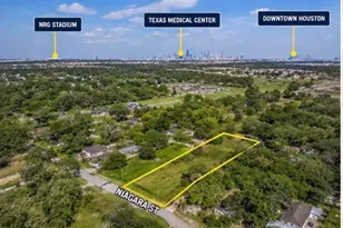 1031 Niagara St, Houston, TX 77051 - Photo 1