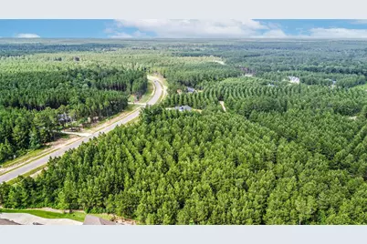 15917 Ridge Oak Road, Willis, TX 77378 - Photo 13