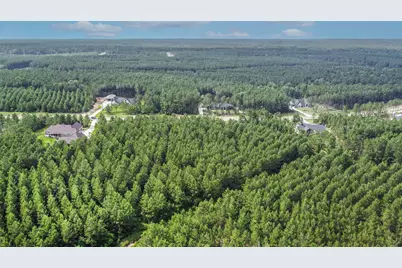 15917 Ridge Oak Road, Willis, TX 77378 - Photo 9