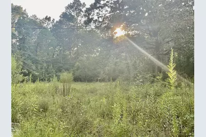 3508 Gilliland Creek Road, Huntington, TX 75949 - Photo 3