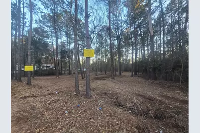 8358 Soapberry Lane, Plantersville, TX 77363 - Photo 5