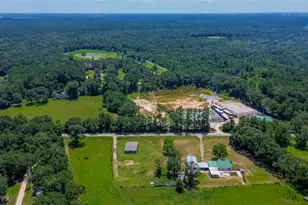 22573 Morgan Cemetery Rd Lot 4, Cleveland, TX 77328 - Photo 15