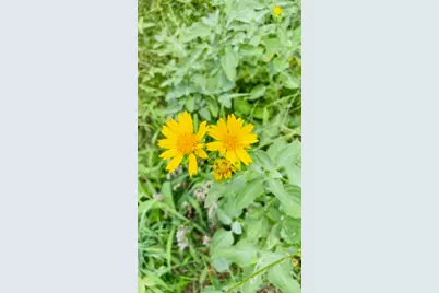 4849 Pr 1310, Centerville, TX 75833 - Photo 5