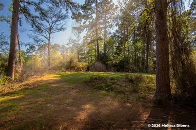 28 Rail Spur, Cleveland, TX 77327 - Photo 31