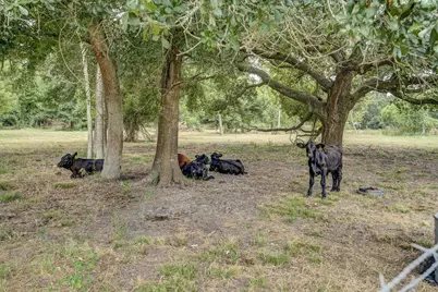 2204 County Road 288, Angleton, TX 77515 - Photo 41