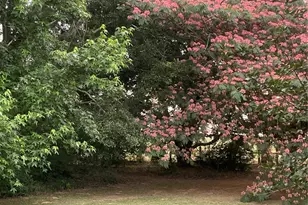 35494 Betka Rd, Hempstead, TX 77445 - Photo 37