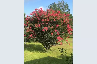 35494 Betka Road, Hempstead, TX 77445 - Photo 35