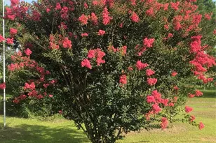 35494 Betka Rd, Hempstead, TX 77445 - Photo 35