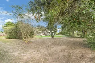 35494 Betka Rd, Hempstead, TX 77445 - Photo 7