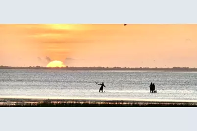 25922 Flamingo Drive, Galveston, TX 77554 - Photo 1