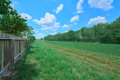 28915 Birch Green Way, Spring, TX 77386 - Photo 41