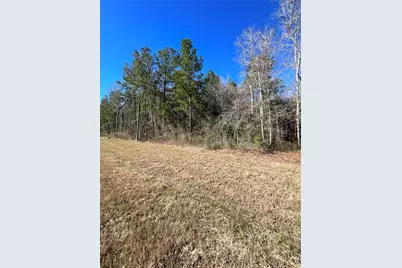 341 Exploration Road, Willis, TX 77378 - Photo 3
