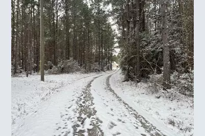 4450 Fm 1746, Woodville, TX 75979 - Photo 39