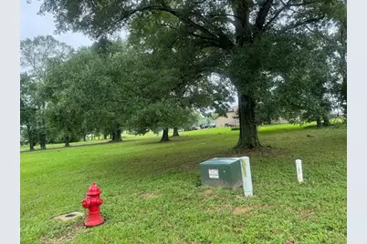 Lot 63 Birdie Drive, Hempstead, TX 77445 - Photo 3