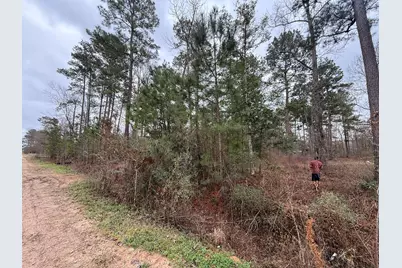 0 Shaffer Road, Cleveland, TX 77327 - Photo 5