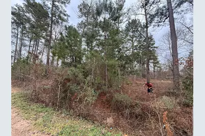 0 Shaffer Road, Cleveland, TX 77327 - Photo 7