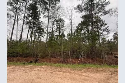 0 Shaffer Road, Cleveland, TX 77327 - Photo 1
