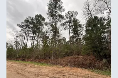 0 Shaffer Road, Cleveland, TX 77327 - Photo 3