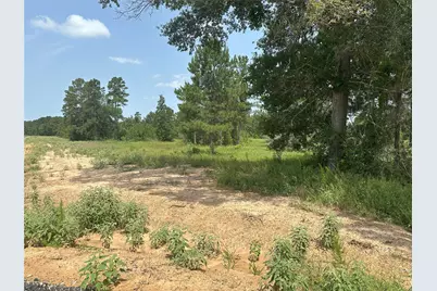 0 Crockett Road, Waller, TX 77484 - Photo 15