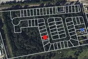 124 W Canopy Crossing Circle, Conroe, TX 77301 - Photo 29