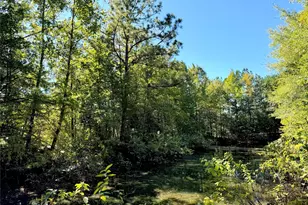 9596 State Hwy 146 S, Livingston, TX 77351 - Photo 1