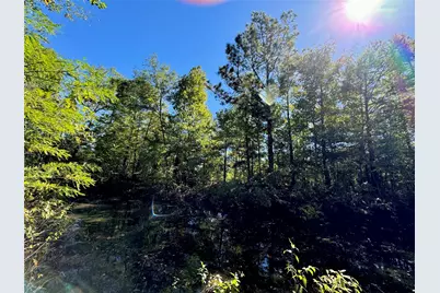 9596 State Highway 146 S, Livingston, TX 77351 - Photo 15