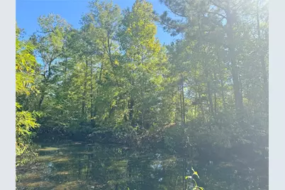 9596 State Highway 146 S, Livingston, TX 77351 - Photo 11