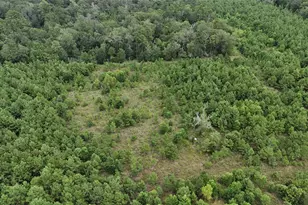 1378 N Duck Creek Rd, Cleveland, TX 77328 - Photo 5