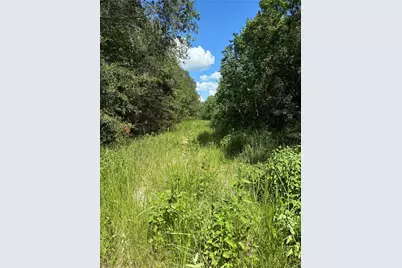 (43208) Wake Forest, Livingston, TX 77351 - Photo 3