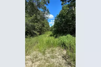 (43208) Wake Forest, Livingston, TX 77351 - Photo 1