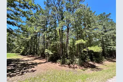 Lot 19 Bh Caroll Street, Trinity, TX 75862 - Photo 11