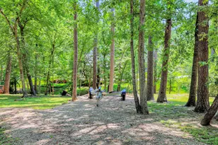 81 Baron Dr, Coldspring, TX 77331 - Photo 41