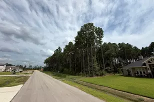 1546 Road 66114, Dayton, TX 77535 - Photo 1