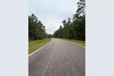 Tbd Texas Grand Road, Huntsville, TX 77340 - Photo 3