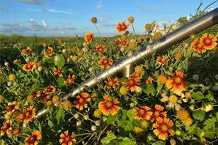 1101 Church St, Galveston, TX 77550 - Photo 21