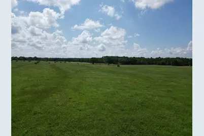 13.85 +/- Acres Hwy 30, Bedias, TX 77831 - Photo 21