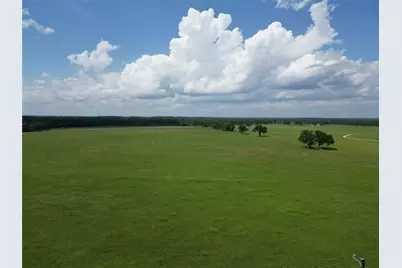 13.85 +/- Acres Hwy 30, Bedias, TX 77831 - Photo 15