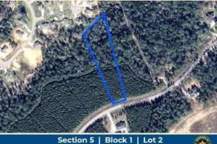 15751 Ridge Rock Rd, Willis, TX 77378 - Photo 1