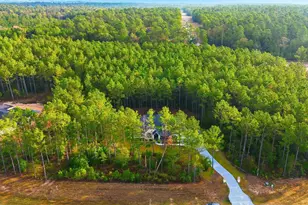 15516 Frst Grv Dr, Willis, TX 77378 - Photo 41