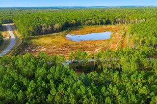 15516 Frst Grv Dr, Willis, TX 77378 - Photo 39