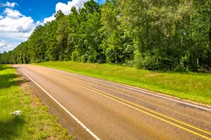 45 Acres Fm 229, Crockett, TX 75835 - Photo 1